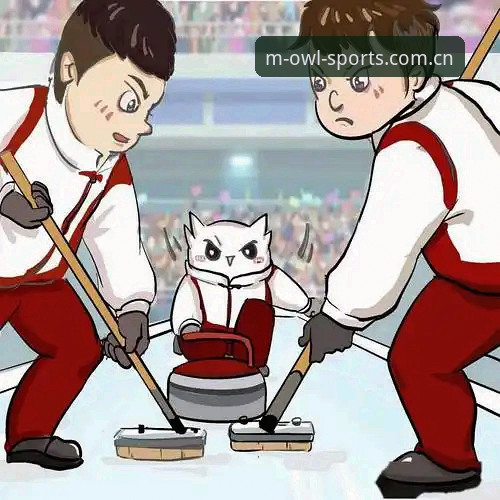 猫头鹰体育使用教程：从下载到沉浸式观赛的完整指南